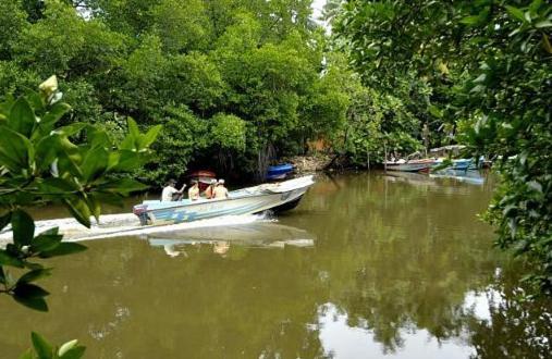 Riverdale Eco Resort Beruwala Eksteriør bilde