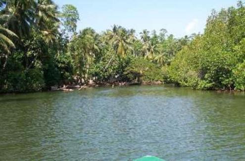 Riverdale Eco Resort Beruwala Eksteriør bilde