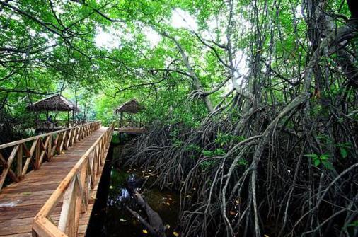 Riverdale Eco Resort Beruwala Eksteriør bilde